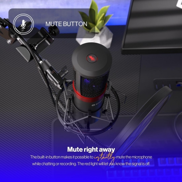 Endorfy Solum Streaming Mikrofon (Askı Aparatlı)