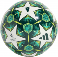 Adidas UCL Training 24/25 resim
