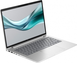HP EliteBook 645 G11 (HPA05CMAWP04) Ultrabook