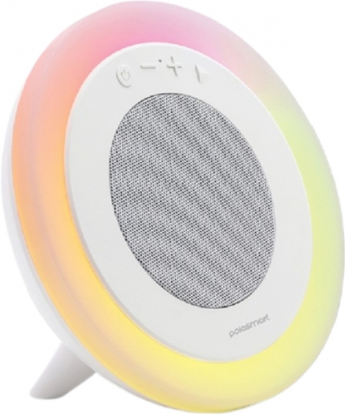 Polosmart FS87 Bluetooth Hoparlör