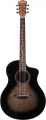 Washburn Vite S9V resim