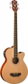 Washburn AB5 resim