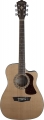 Washburn Heritage 10 resim
