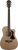 Washburn Heritage 10 Elektro Akustik Gitar