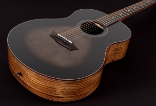 Washburn Novo S9 Akustik Gitar