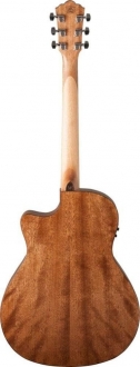 Washburn Woodline 10 Elektro Akustik Gitar