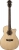 Washburn Woodline 10 Elektro Akustik Gitar