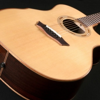 Washburn Comfort G25SCE Elektro Akustik Gitar