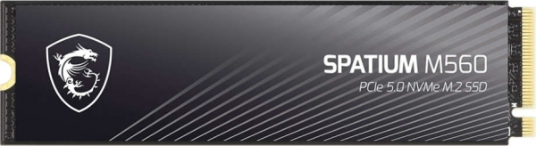 MSI Spatium M560 SSD (1 TB)