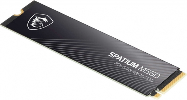 MSI Spatium M560 SSD (1 TB)