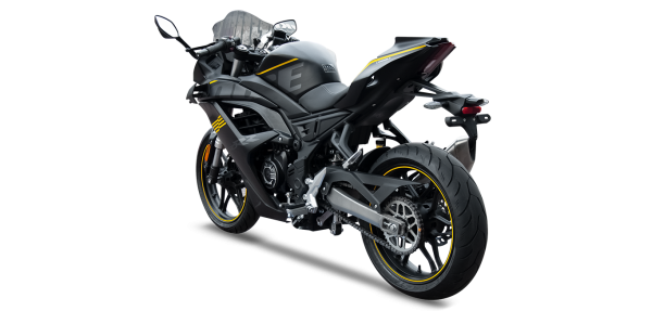 VOGE 250 RR Racing
