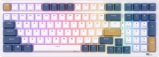 RK Royal Kludge RK98 Klavye