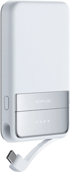 EcoFlow Rapid 5000 mAh Powerbank