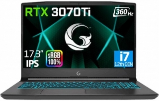 Game Garaj Slayer2 D5 10XL-3070TI C4 Laptop