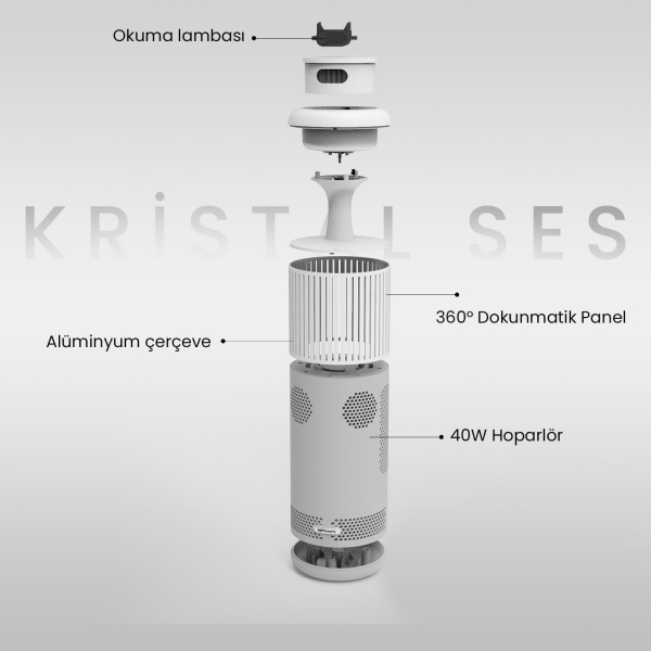 HiFuture Wedge Akıllı Ev Hoparlörü