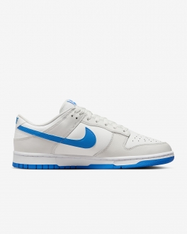 Nike Dunk Low Retro Erkek Spor Ayakkabı