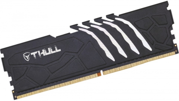 Thull Vortex 16 GB 5600 MT