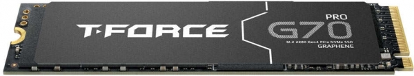 Team Group T-Force G70 Pro SSD (1 TB)