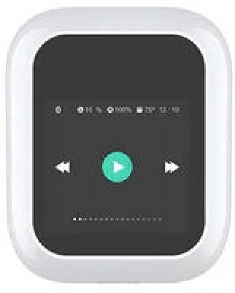 Wiwu Airbuds T24 Tam Kablosuz Kulaklık