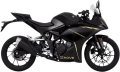 Kove 250 RR resim