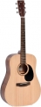 Ditson D-10 resim