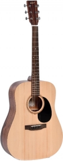 Ditson D-10 Akustik Gitar