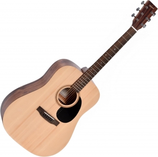 Ditson D-10 Akustik Gitar