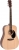 Ditson D-10 Akustik Gitar