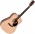 Ditson D-10 Akustik Gitar