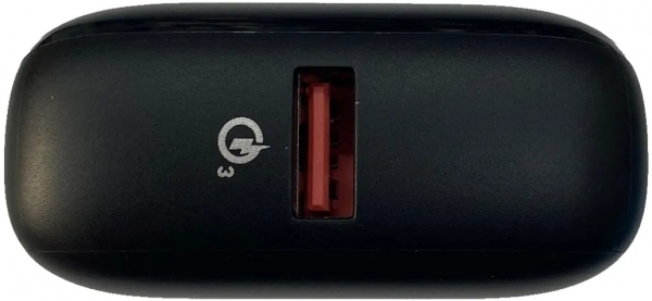 ACL PW-78 10000 mAh Powerbank