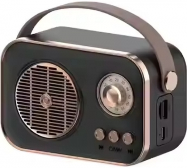 Platoon PL-4641 Bluetooth Hoparlör