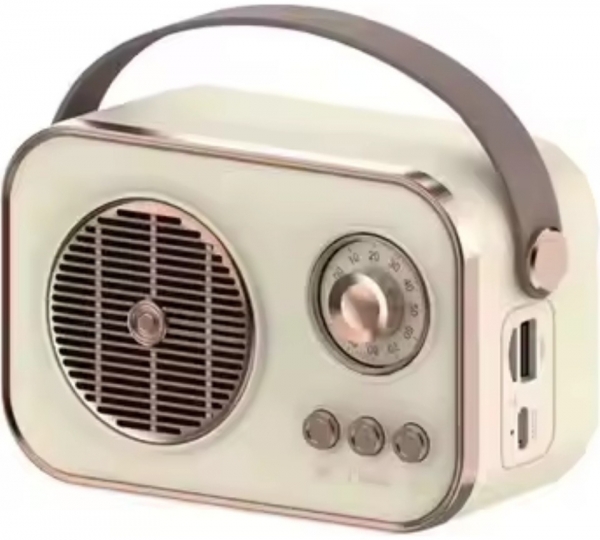 Platoon PL-4641 Bluetooth Hoparlör