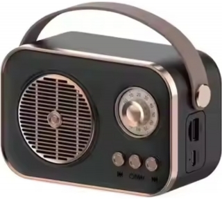 Platoon PL-4641 Bluetooth Hoparlör