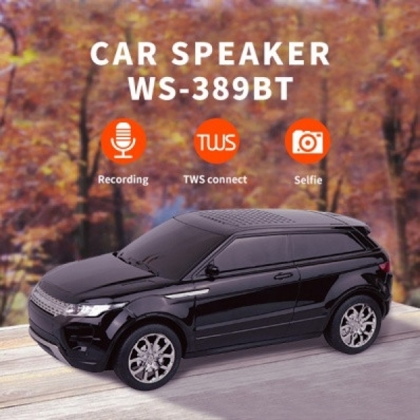 Wster WS-389 Bluetooth Hoparlör