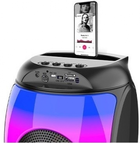 Polygold ZQS1438 Bluetooth Hoparlör