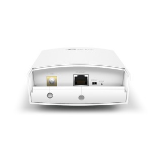 TP-Link CAP300 Outdoor Access Point