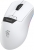 Throne Raito Reflex Mouse