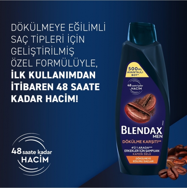 Blendax 4'ü 1 Arada Kafein Özlü 500 ml Şampuan