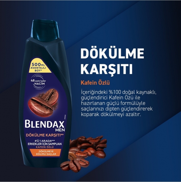 Blendax 4'ü 1 Arada Kafein Özlü 500 ml Şampuan