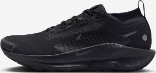 Nike Pegasus Trail 5 Gore-Tex Erkek Spor Ayakkabı