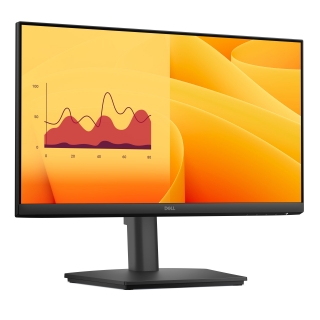 Dell Pro E2225HSM Monitör