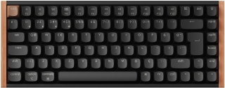 Keychron K2 HE Klavye