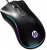 HP G100 Mouse