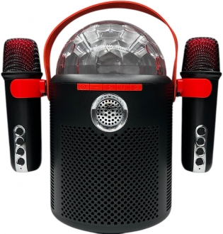 Nettech Y-13 Bluetooth Hoparlör