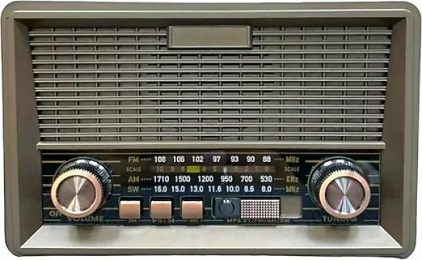 Everton RT-569 Bluetooth Hoparlör