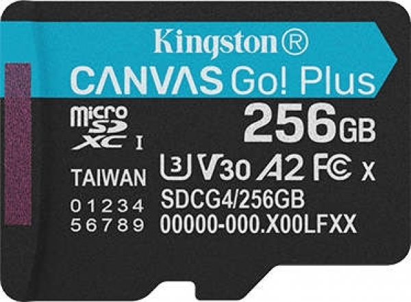 Kingston Canvas Go! Plus microSD (256 GB)