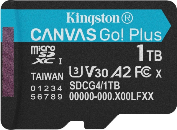 Kingston Canvas Go! Plus microSD (1 TB)