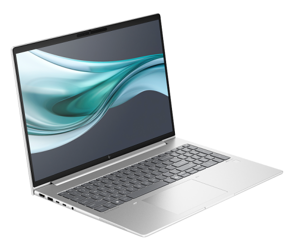 HP EliteBook 660 G11 (9C005EA) Laptop