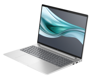 HP EliteBook 660 G11 (9C004EA08) Laptop