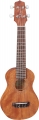 Takamine GUS1 resim